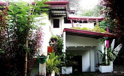 Guesthouse Sri Lanka Flora Kandy 0*,